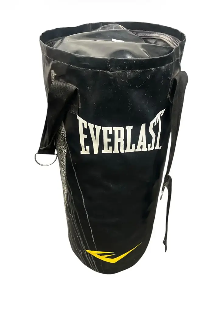 Everlast Medium Boxing Bag