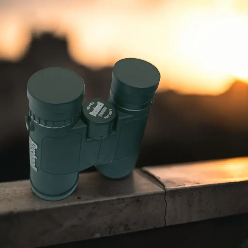 Bushnell 10X42 Powerview Binoculars