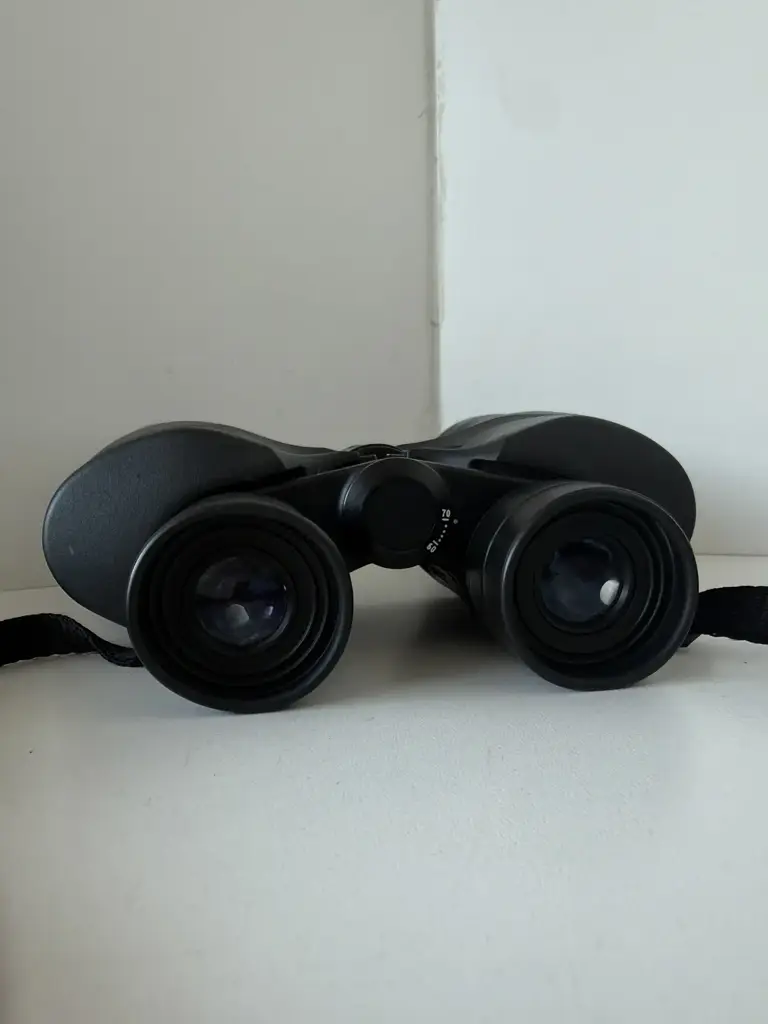 Olympus 10X50 Dps I Binocular - View 2