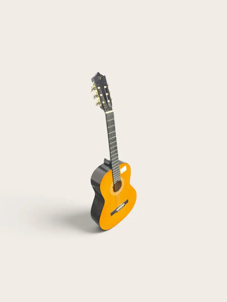 Vizcaya Classical Guitar - View 2