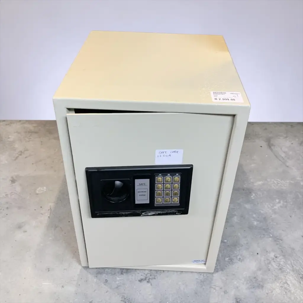 Electronic System Safe