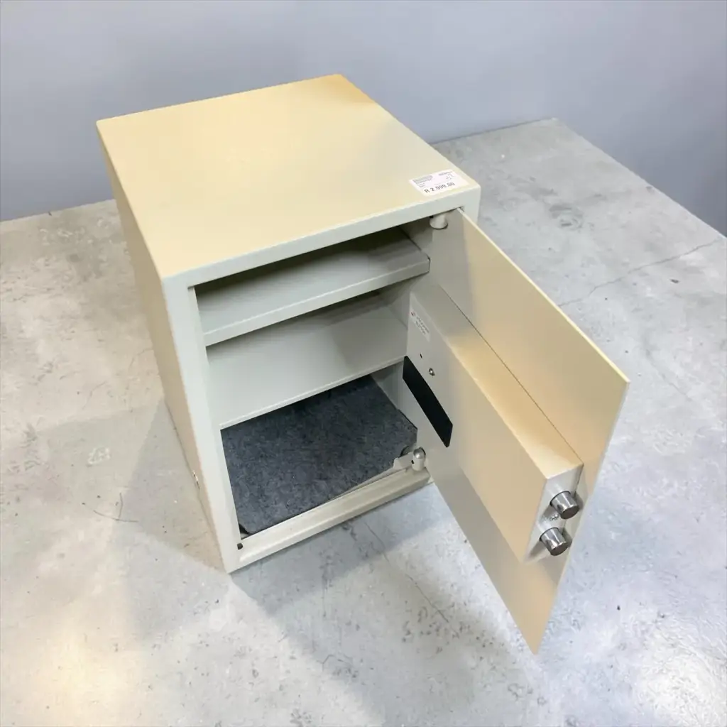 Electronic System Safe - View 2