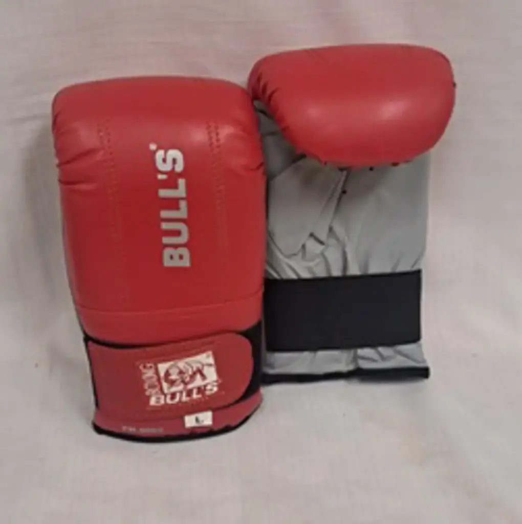 Bulls Boxing Gloves - View 2