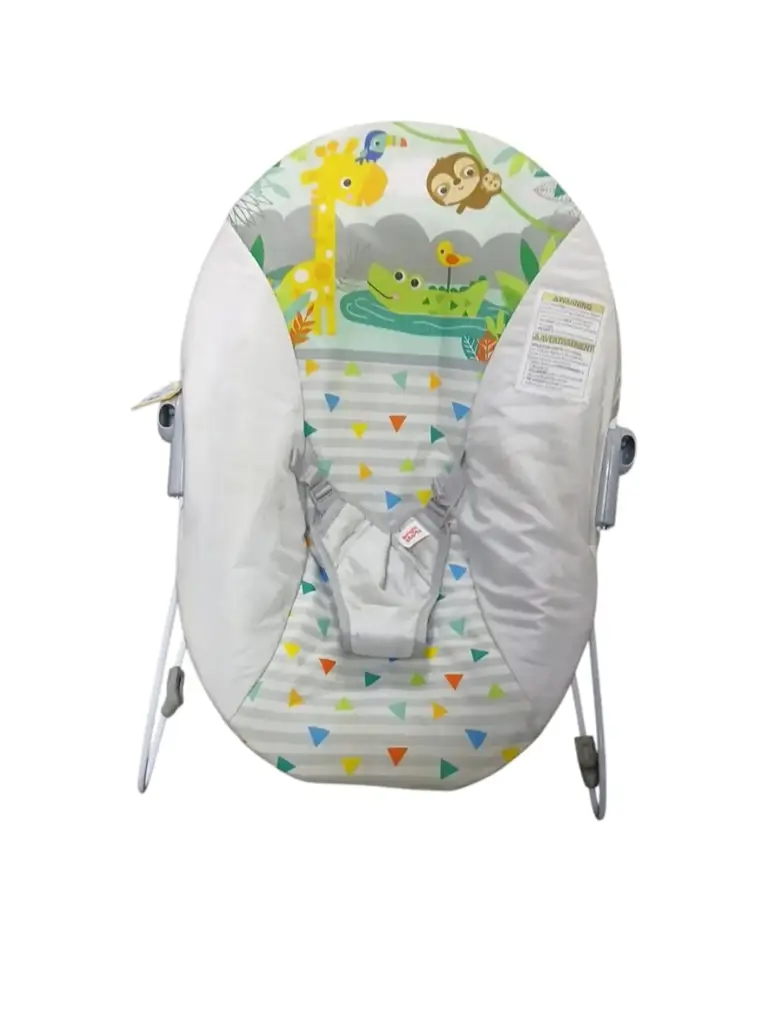 Bright Starts Safari Fun Vibrating Bouncer