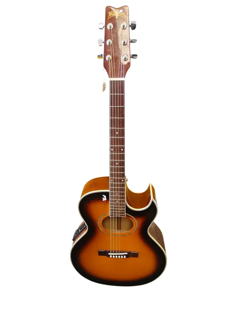 Washburn Ea9ts