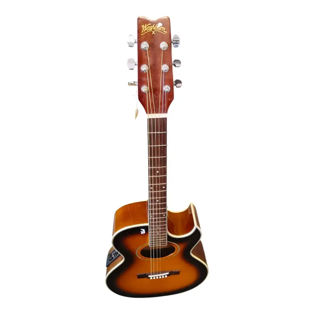 Washburn Ea9ts - View 2