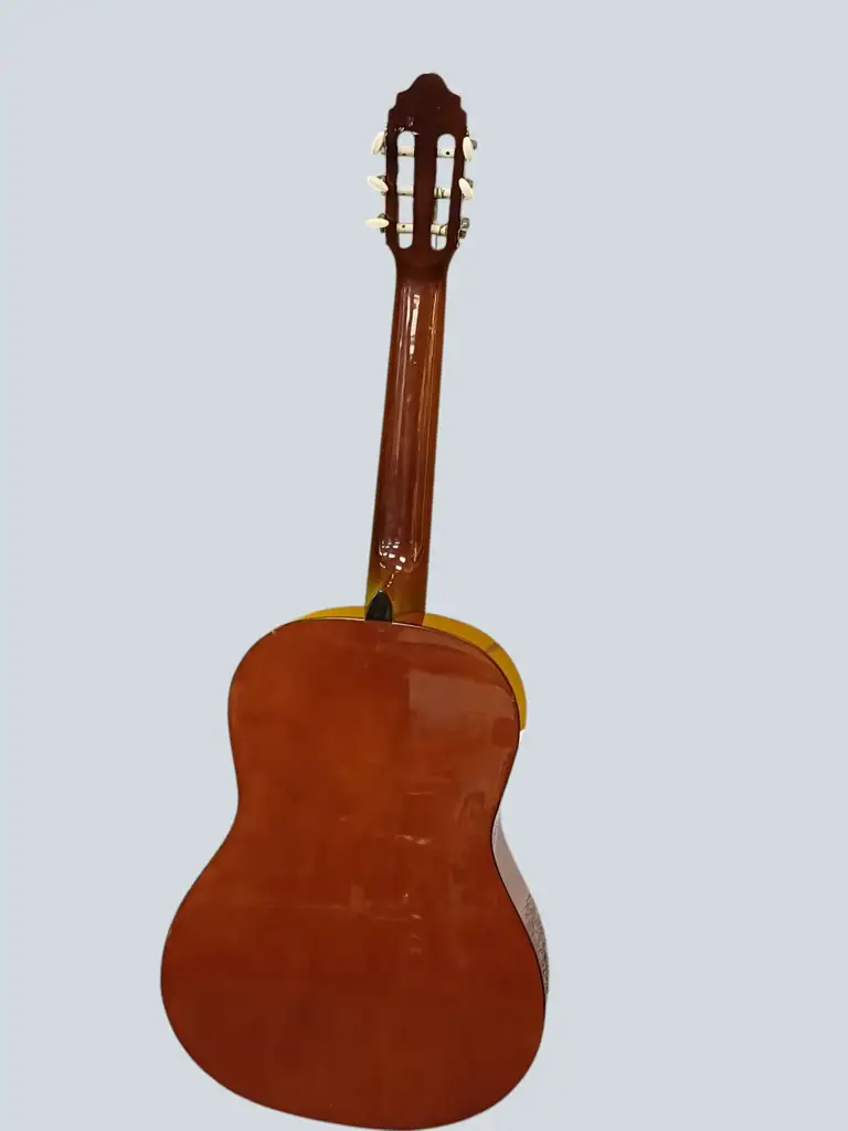 Cort Aj 850 Tf Aucostic Guitar - View 2