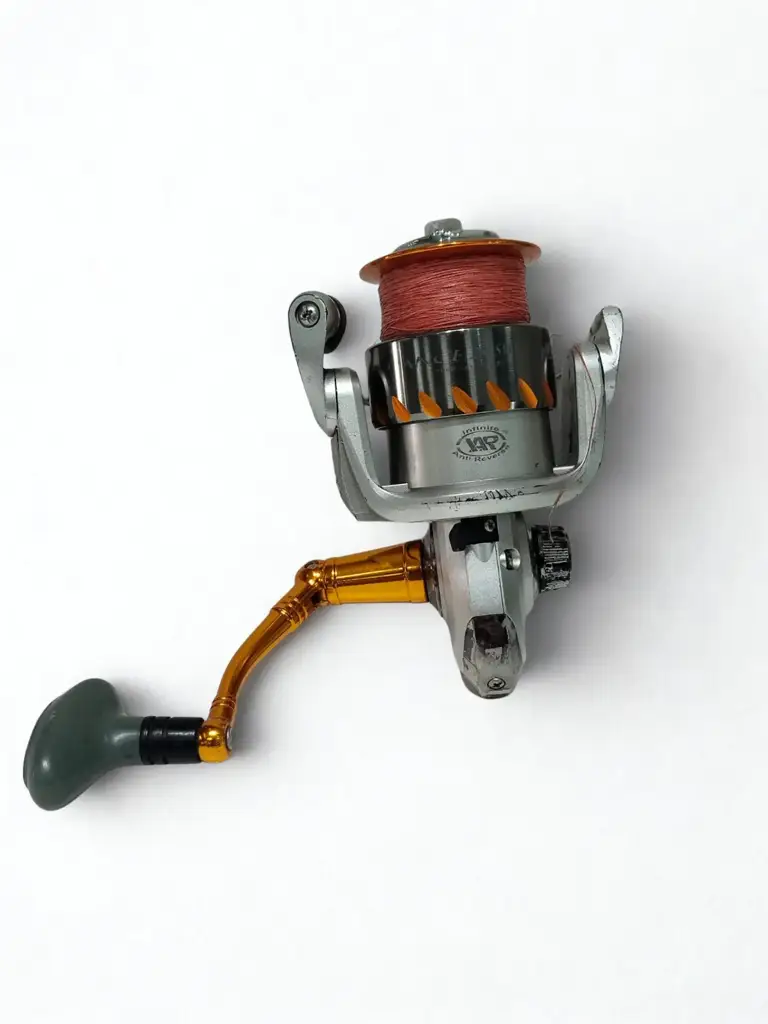 Penn 250Sw Fishing Reel