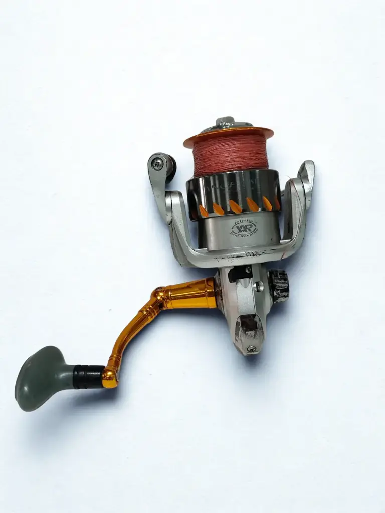 Penn 250Sw Fishing Reel - View 2