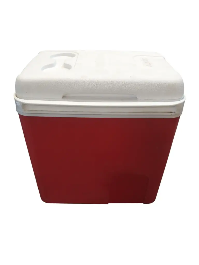 Addis 26L Cooler Box