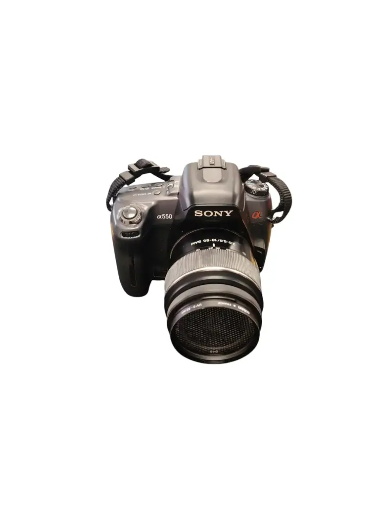 The Sony Alpha 550 Camera