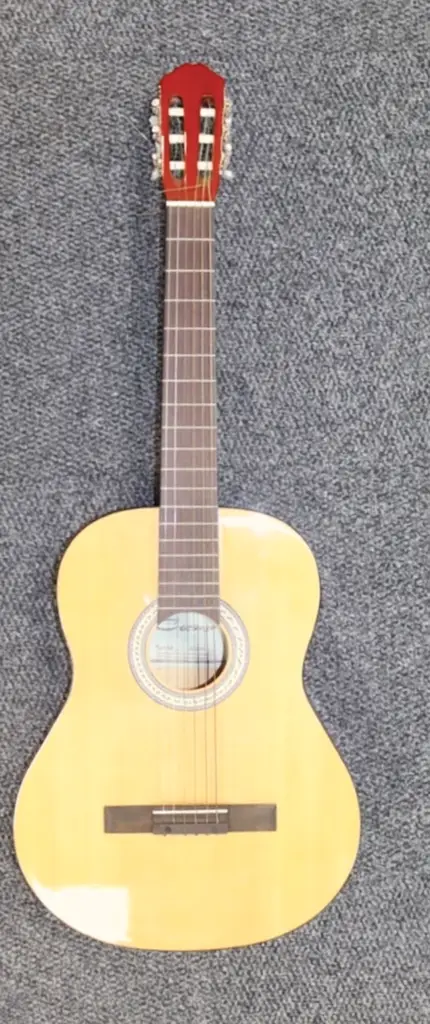 Caraya C-950N Acoustic Guitar