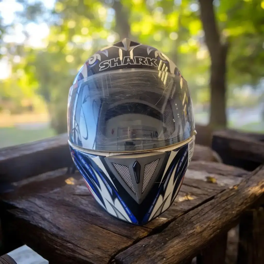 Shark Helmet