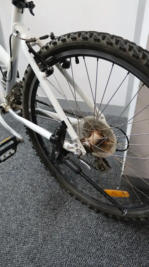 Giant Boulder Mountain Bike - White/Silver - View 3