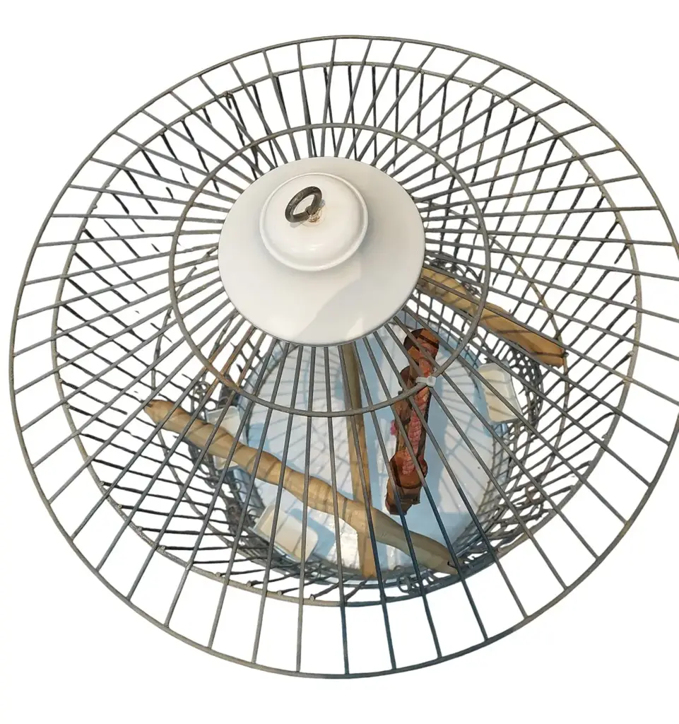 Bird Cage - View 2