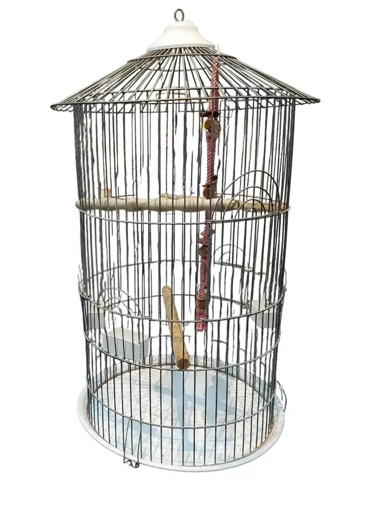 Bird Cage - View 3