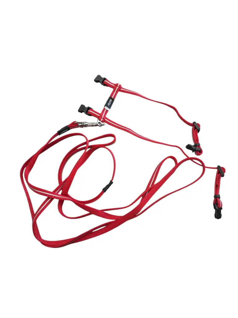 Rogz X-Small Cat Lead - View 2